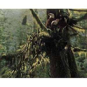  Collin Bogle   The Enchanted Forest Canvas