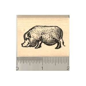  Pot bellied Pig Rubber Stamp   Wood Mounted Arts, Crafts 