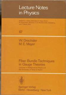 Bundle Techniques in Gauge Theories. Lectures in Mathematical Physics 