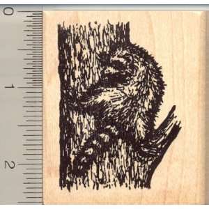  Tree Climbing Raccoon Rubber Stamp Arts, Crafts & Sewing
