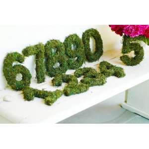 Set of 3 Moss Table Numbers 