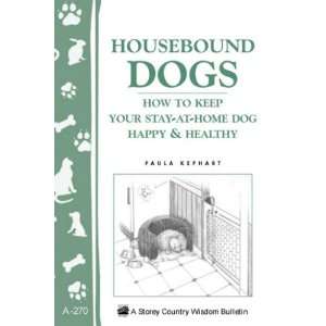  Housebound Dogs   Book How to Keep Your Stay At Home Dog 