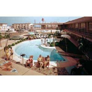  Caribbean Motel Postcard 1960s Pool Picture Wildwood New 