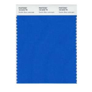  Pantone 18 4245 Nylon Brights Color Swatch Card