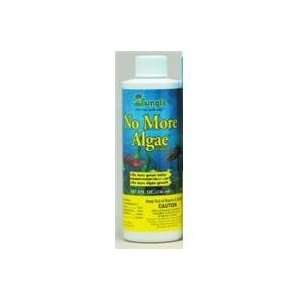  Best Quality No More Algae / Size 8 Ounces By Jungle 