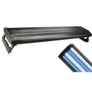  Top Quality Wavepoint 48 High Output T5 Light System 