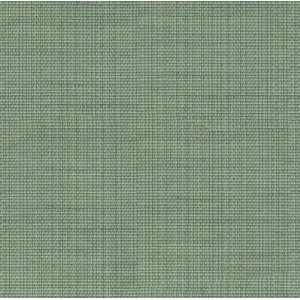  30150 35 by Kravet Contract Fabric