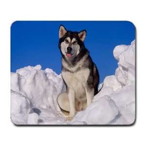   Mouse Pad Mat Computer Wolf White Snow Animal Dog 
