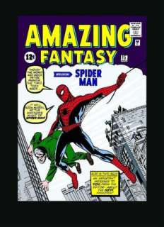   Amazing Spider Man Omnibus, Volume 1 Variant by Steve 