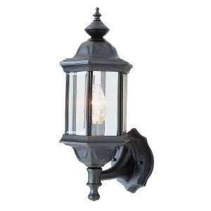 Trans Globe Lighting 4290 VG Verde Green Outdoor Traditional / Classic 