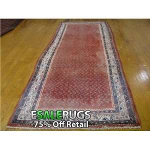  11 0 x 4 3 Botemir Hand Knotted Persian rug