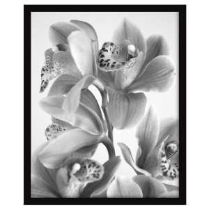  MCS 47368 Vernon Gallery Poster Frame, Black, 16 by 20 