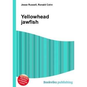  Yellowhead jawfish Ronald Cohn Jesse Russell Books