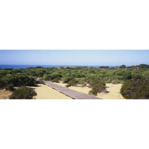 Boardwalk at the Coast, Cuesta de Maneli, Donana National Park, Spain 