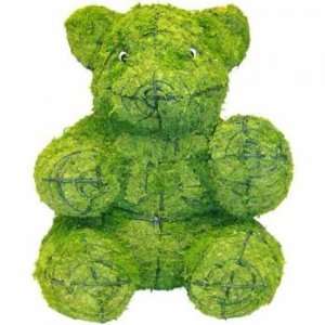  Sitting Teddy Bear Mossed Topiary Frame