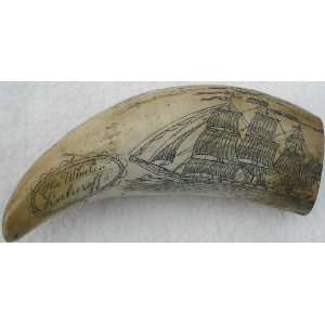  Whaling Ship Rulusoff Fogos Island Scrimshaw Whale Tooth 