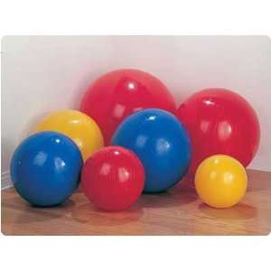  Gymnic Ball   29½ (75cm)