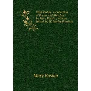  Mary Baskin ; with an Introd. by W. Morley Punshon Mary Baskin Books