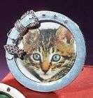 Must Love Cat Blue Pet Cat Collar Picture Photo Frame 3x3  