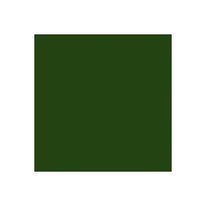  Rosco Roscolux Green Diffusion, 20 x 24 Sheet of Light 