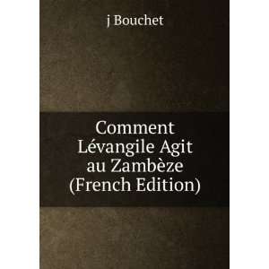   Agit au ZambÃ¨ze (French Edition) j Bouchet  Books