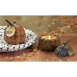 4 Autumn Glow Filled Ceramic Thanksgiving Pumpkin Candles 