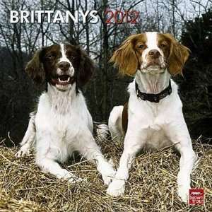  Brittanys 2012 Wall Calendar 12 X 12