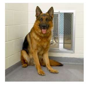  Plexidor® Wall Mount Pet Door for Extra Large Dogs