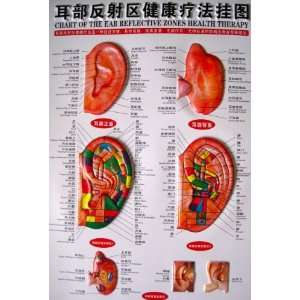 Chart of the Ear Reflection Zones Health Therapy(with English and 