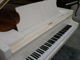 Schimmel Grand Piano, 6 10 Long. Ivory Polish, German  