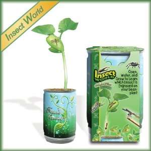   Its Name Grow on Your Plant   Explorer the Insect World Toys & Games