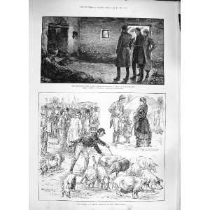   1886 BOYCOTTING IRELAND PIGS THURLES FAIR CLARE ISLAND