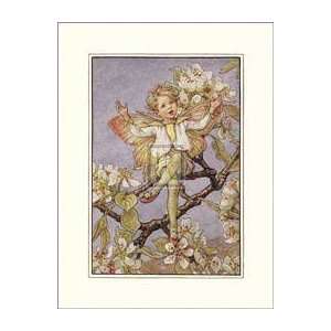   FAIRY   Artist CICELY MARY BARKER  Poster Size 8 X 6