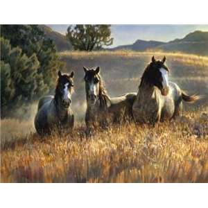  Nancy Glazier AMAZING GRAYS 3 Horses Art CANVAS 