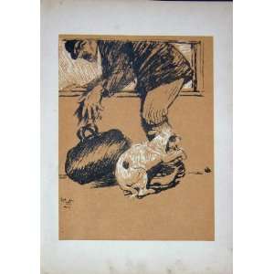  1905 Cecil Aldin Dog Day Man Bag Burglar House Emanuel 