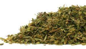 Fresh Organic Stevia Leaf (Sweet, Herbal Sweetner) 1 oz  