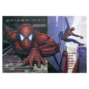  SPIDERMAN ~ GREAT POWERS ~ MOVIE POSTER ~ SPIDER MAN(Size 