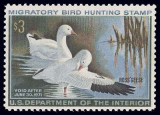 RW37 VERY FINE MNH 1970 ROSS GEESE FEDERAL DUCK STAMP  