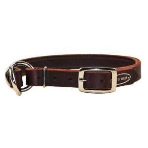  Strictly Business Leather Dog Collar