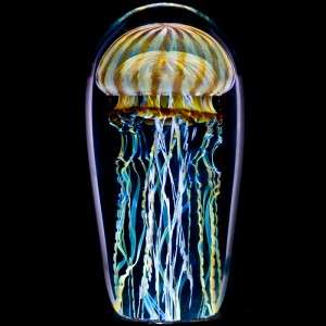 Tall PW Rick Satava Passion Moon Jellyfish  