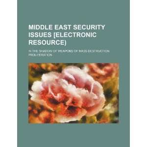  Middle East security issues [electronic resource) in the 