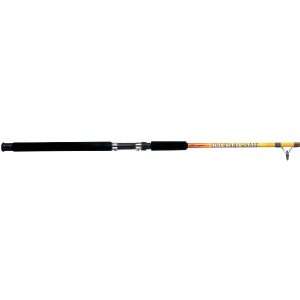  Shakespeare Wicked Stik 56 Big Water Spinning Rod 