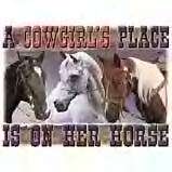 Cowgirls Place Is On Her Horse Tshirt, Western, S, M, L or XL  