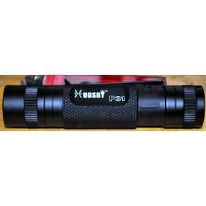  HUGSBY P31 HA III 160 Lumen Hi Performance LED Flashlight 