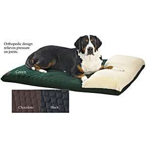  Expressions Small Orthopedic Bed with Headrest Everything 