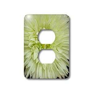Florene Flower   Big n Pretty   Light Switch Covers   2 plug outlet 