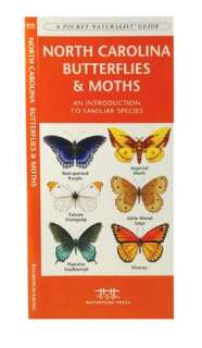   Familiar Species by James Kavanagh, Waterford Press Ltd.  Paperback