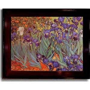  Iris Garden by Vincent van Gogh