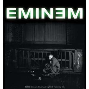  EMINEM ALLEY STICKER