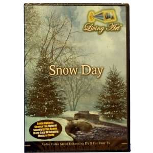  SNOWY DAY DVD   SHOT IN HIGH DEFINITION Electronics